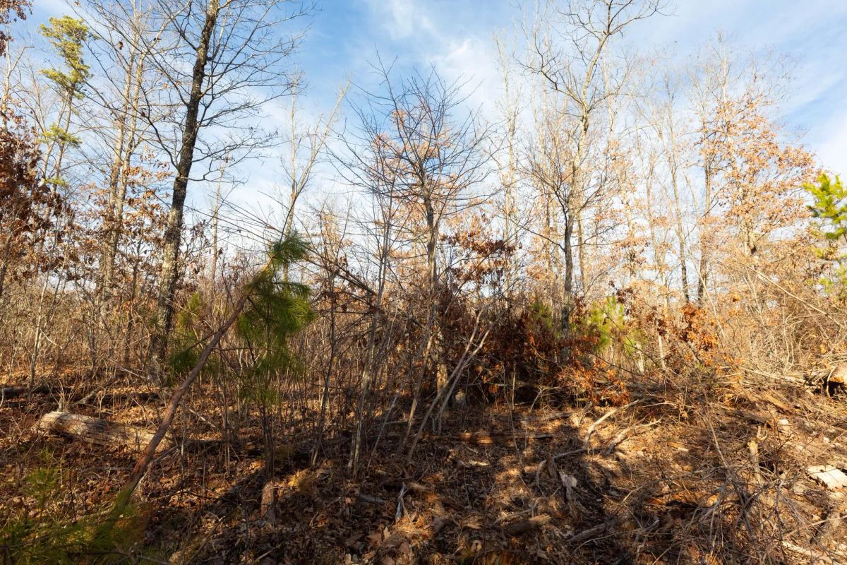 Decorative background for Windy Ridge Tract 8 image 9
