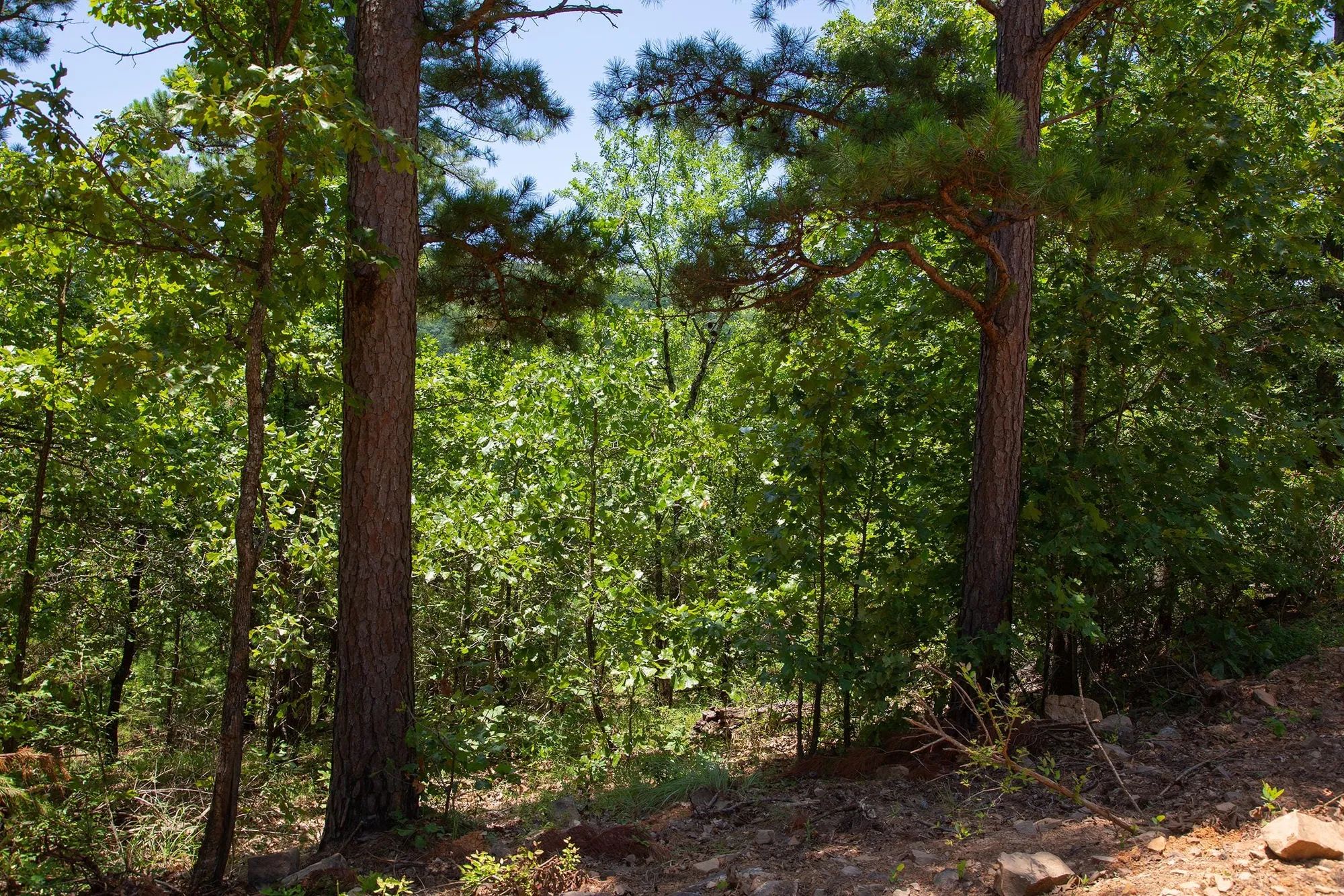 Tyler Stone Ranch Tract 71 in Le Flore County, OK