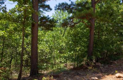 Tyler Stone Ranch Tract 71
