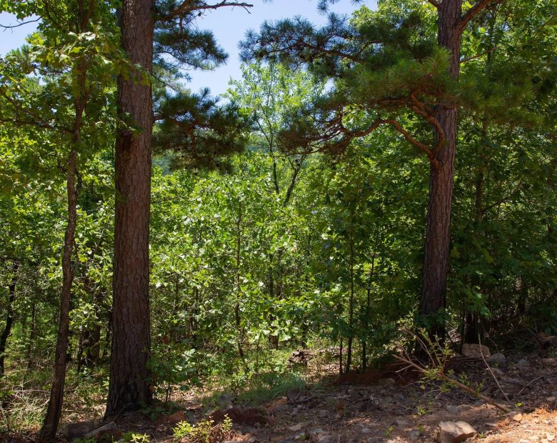 Tyler Stone Ranch Tract 71 in Le Flore County, OK