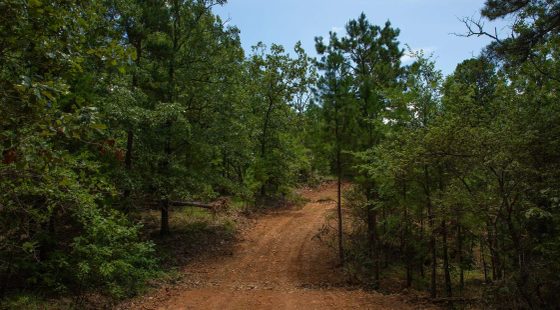 Tyler Stone Ranch Tract 71 in Le Flore County, OK