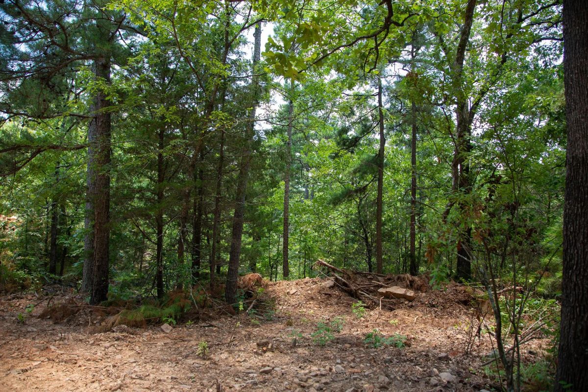 Tyler Stone Ranch Tract 71 - Image 3