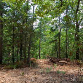 Tyler Stone Ranch Tract 71 in Le Flore County, OK