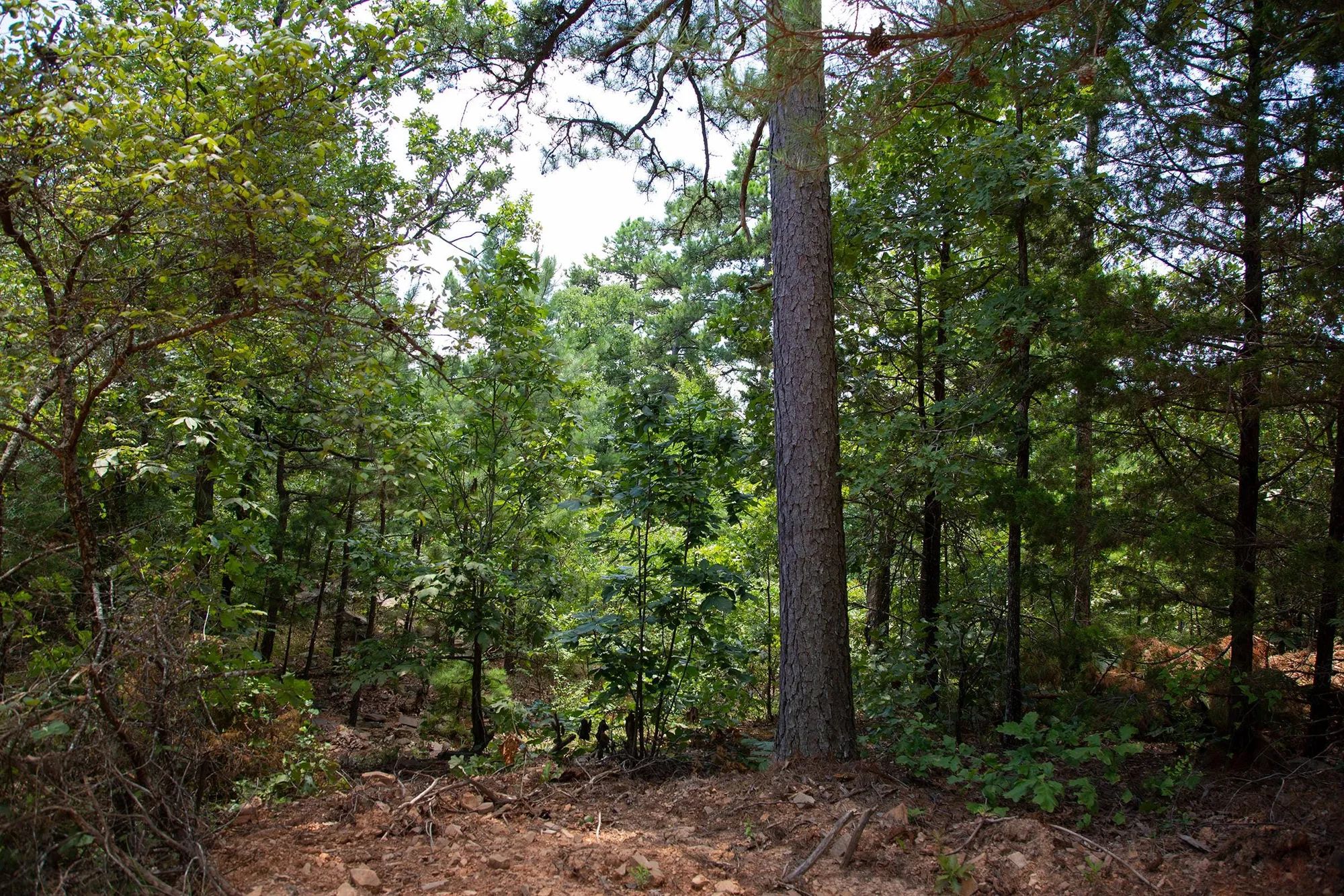 Tyler Stone Ranch Tract 71 in Le Flore County, OK