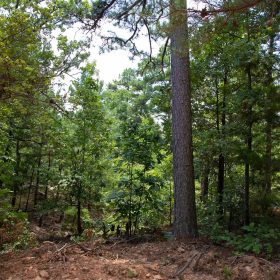 Tyler Stone Ranch Tract 71 in Le Flore County, OK