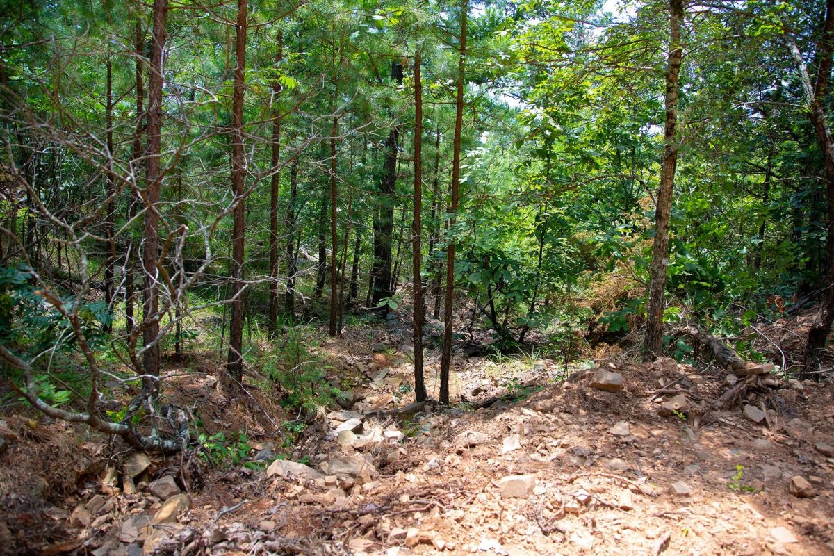 Decorative background for Tyler Stone Ranch Tract 71 image 5
