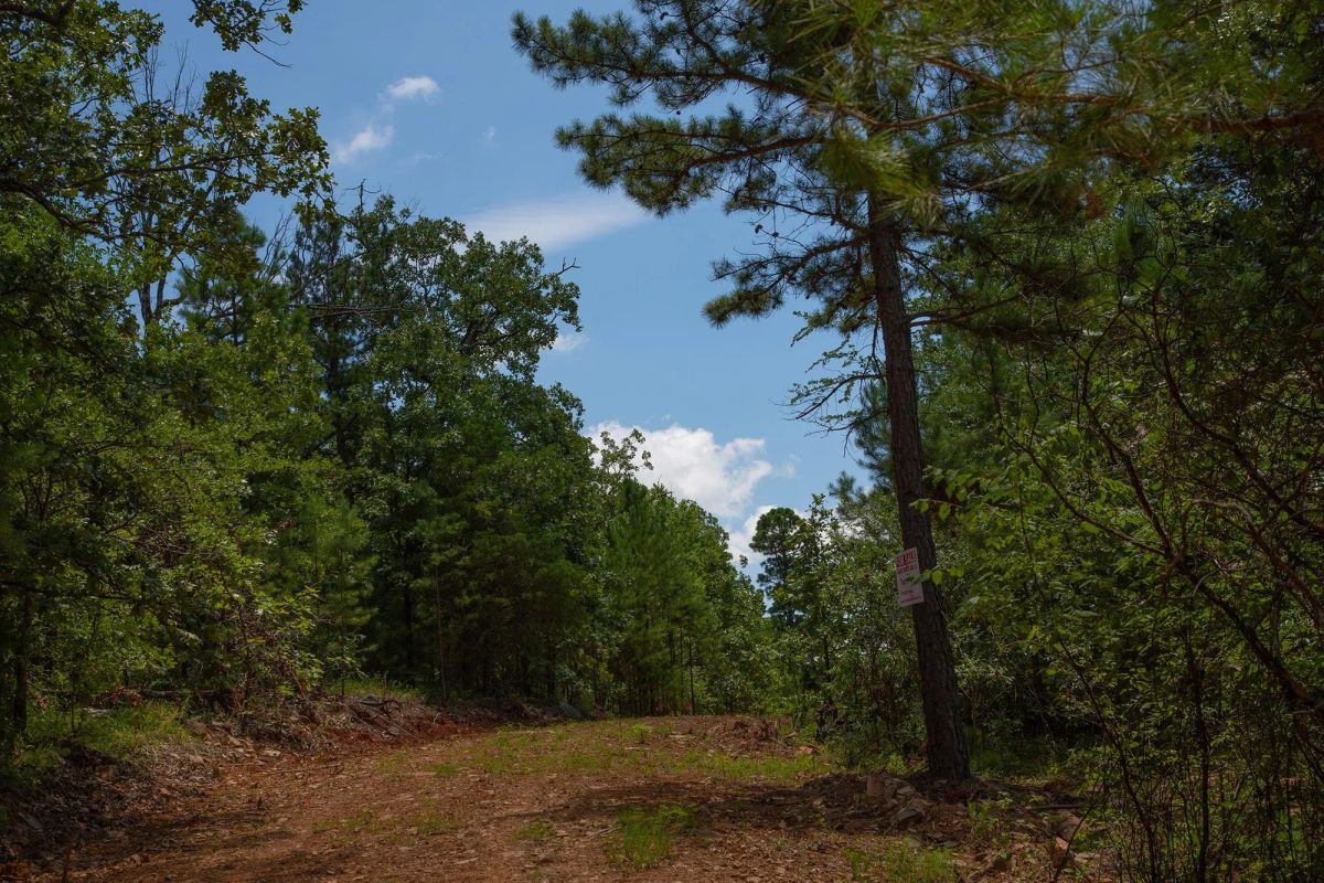 Decorative background for Tyler Stone Ranch Tract 71 image 6