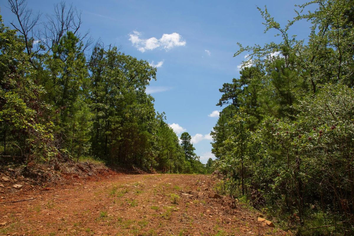 Decorative background for Tyler Stone Ranch Tract 71 image 7