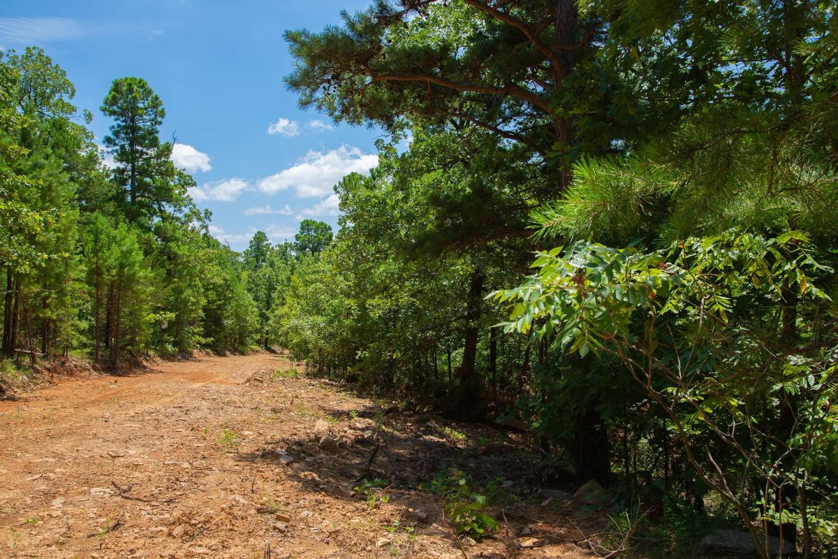 Decorative background for Tyler Stone Ranch Tract 71 image 9