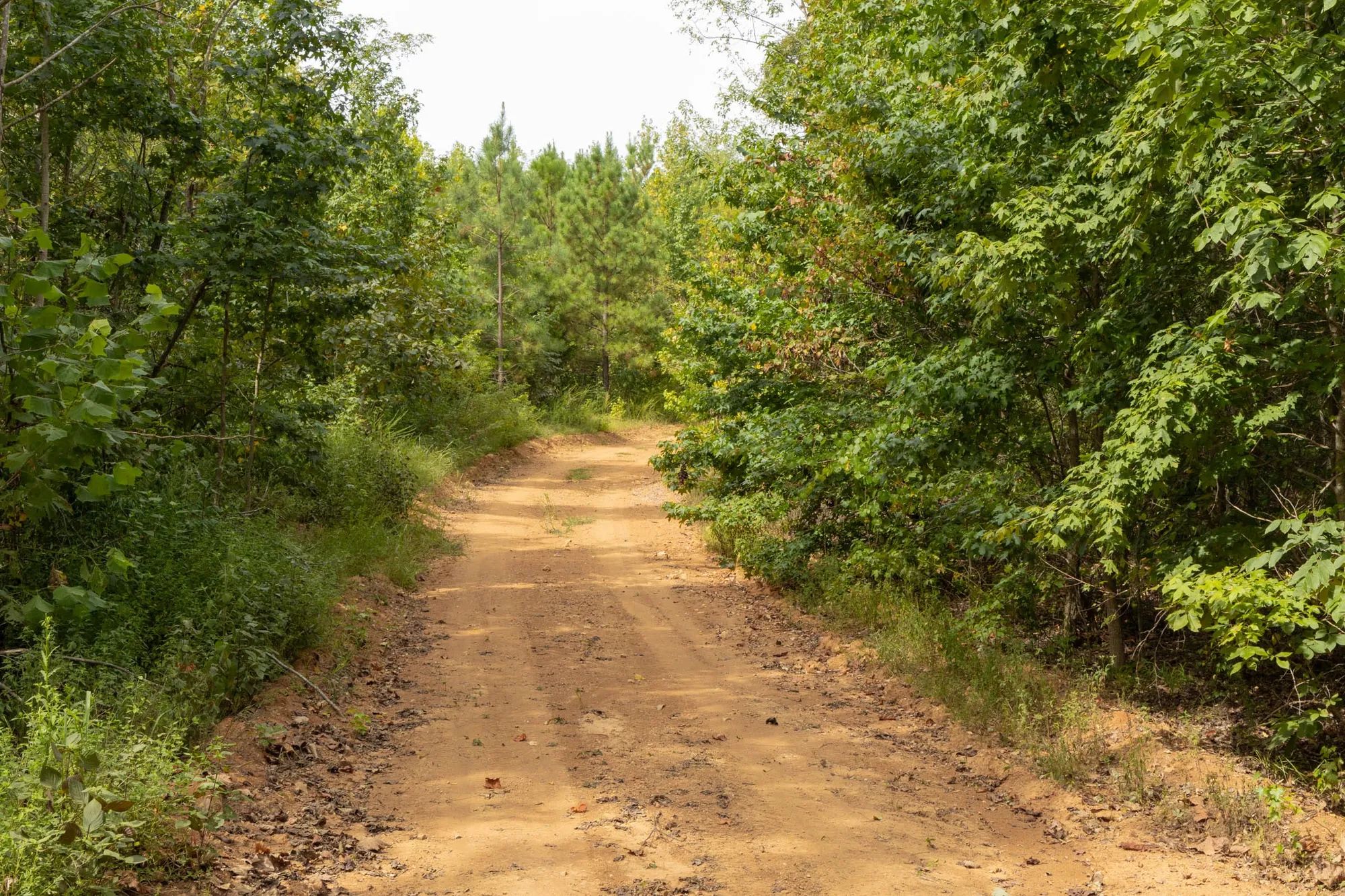 Big White Oak Tract 61 in Perry County, TN