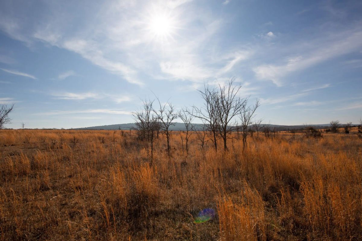 Painted Horse Tract 26 - Image 2