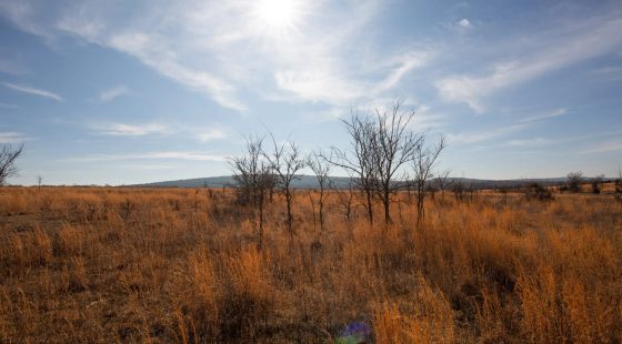 Painted Horse Tract 26 in Pittsburg County, OK