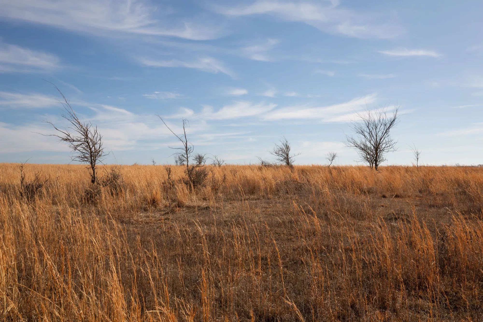 Painted Horse Tract 26 in Pittsburg County, OK