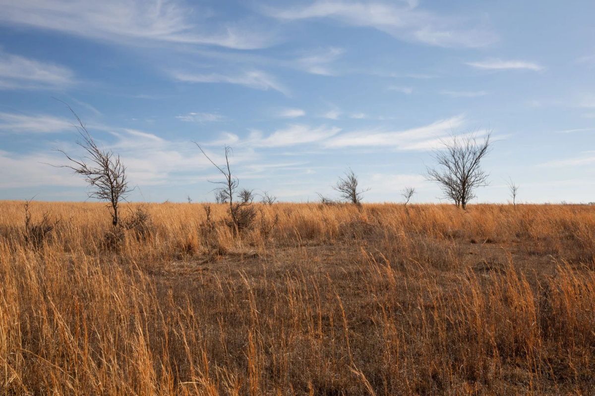 Painted Horse Tract 26 - Image 3