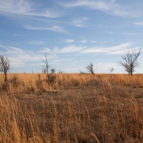 Painted Horse Tract 26 in Pittsburg County, OK
