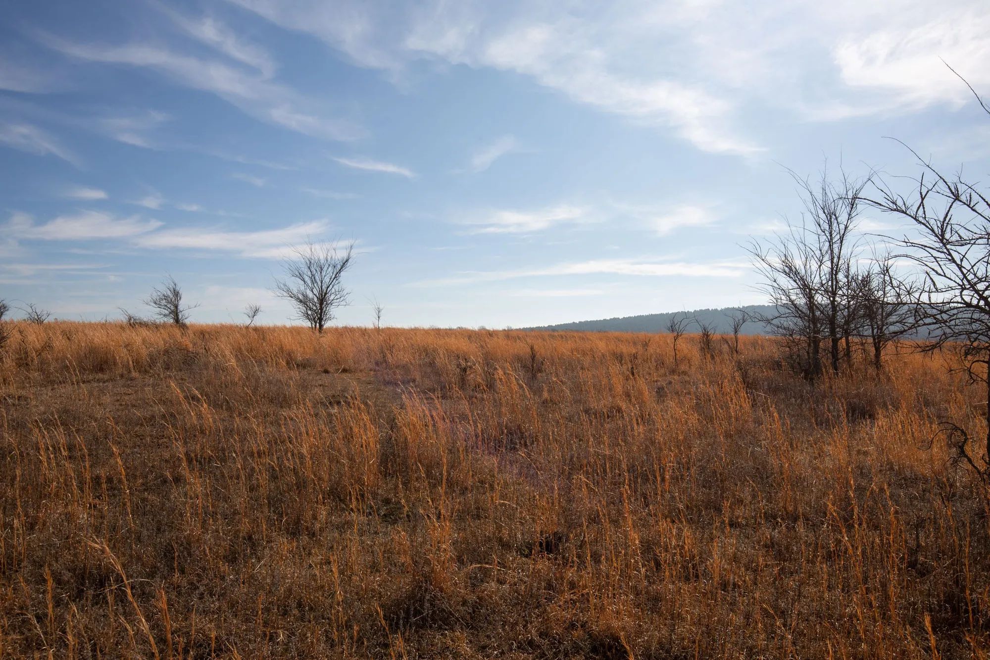 Painted Horse Tract 26 in Pittsburg County, OK