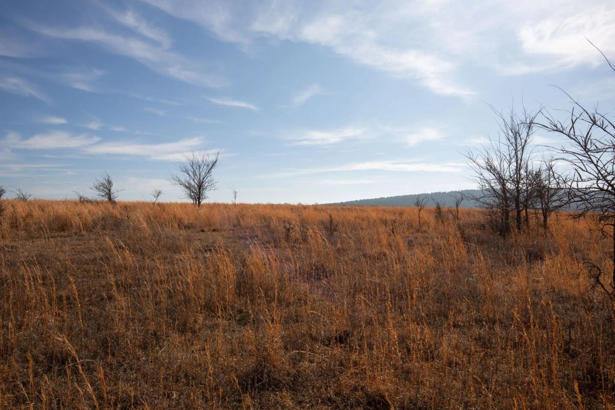 Painted Horse Tract 26 - Image 4