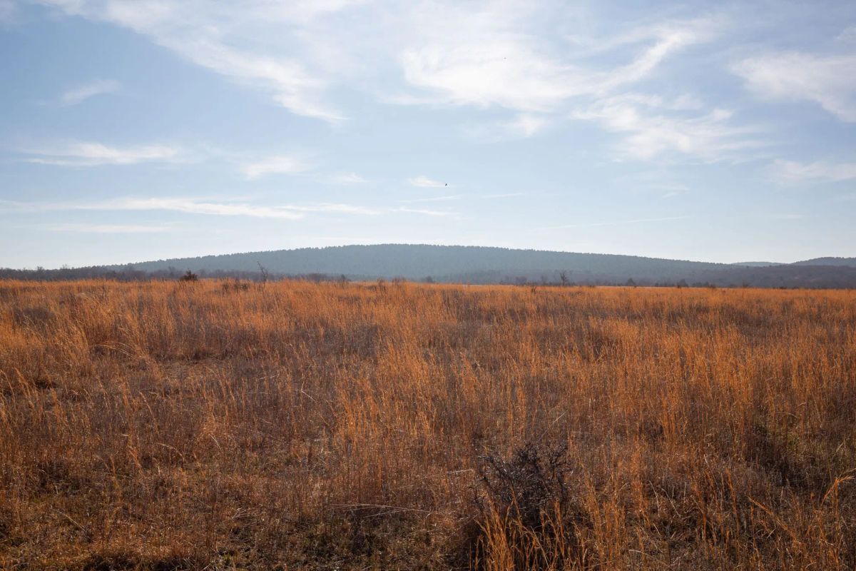 Decorative background for Painted Horse Tract 26 image 10