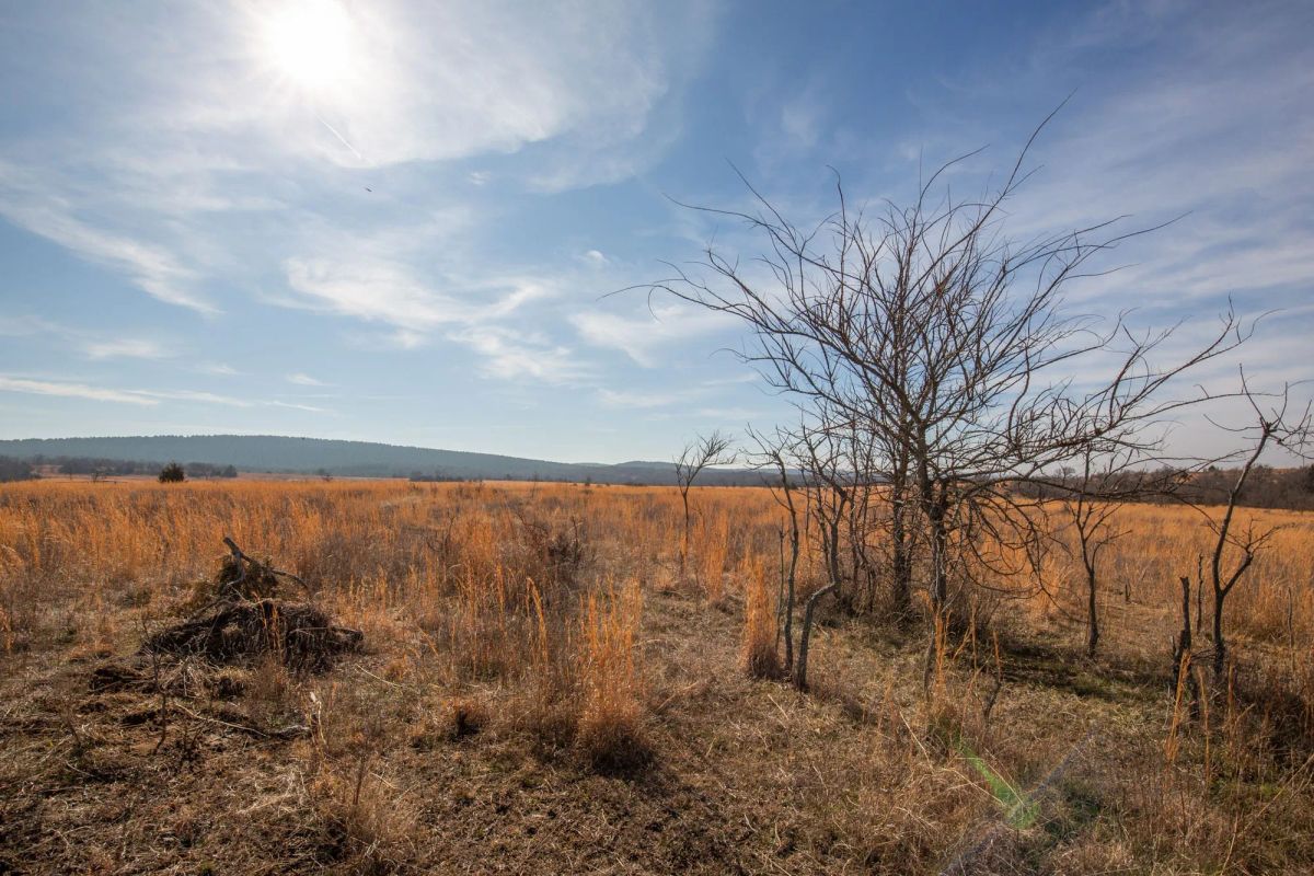 Decorative background for Painted Horse Tract 26 image 11