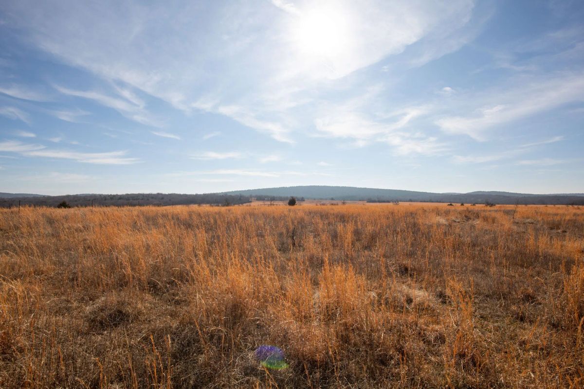 Decorative background for Painted Horse Tract 26 image 12