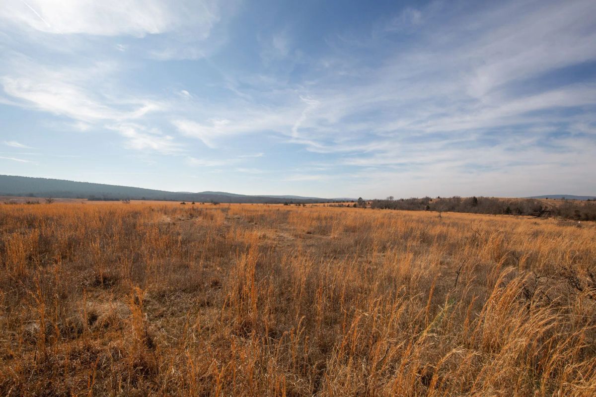 Decorative background for Painted Horse Tract 26 image 13