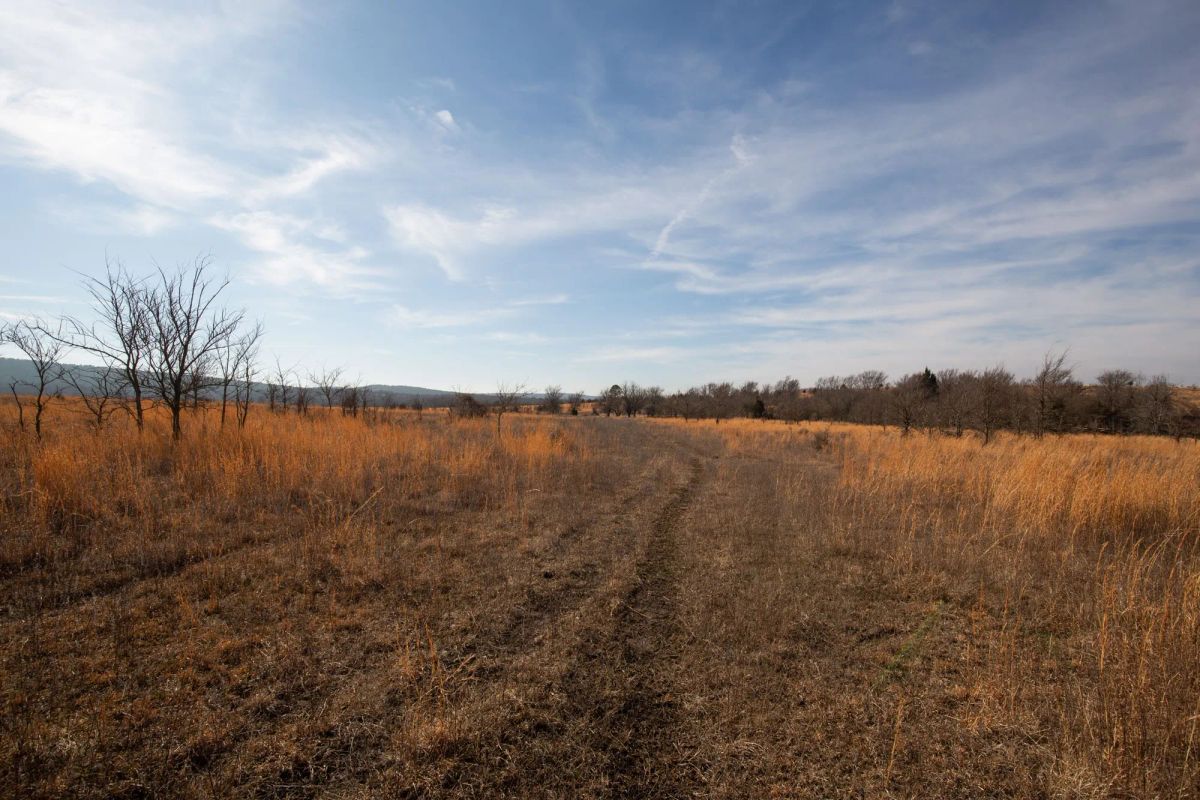 Decorative background for Painted Horse Tract 26 image 14