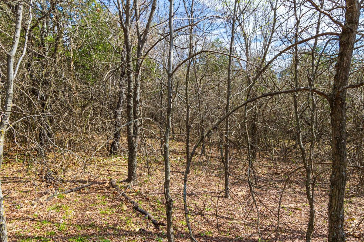 Reserves At Cattail Cove Phase I Tract 34 - Main image