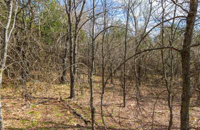 Reserves At Cattail Cove Phase I Tract 34