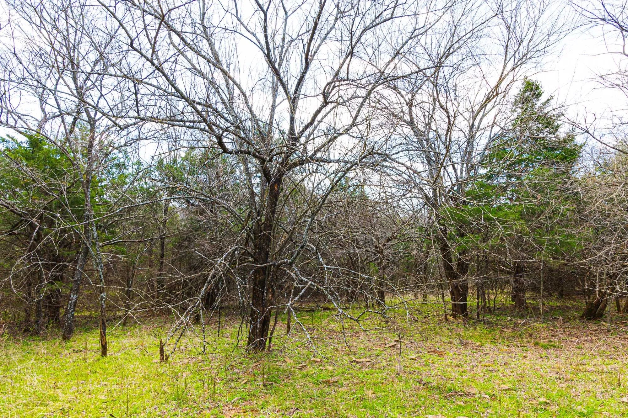 Reserves At Cattail Cove Phase I Tract 34 in Pittsburg County, OK