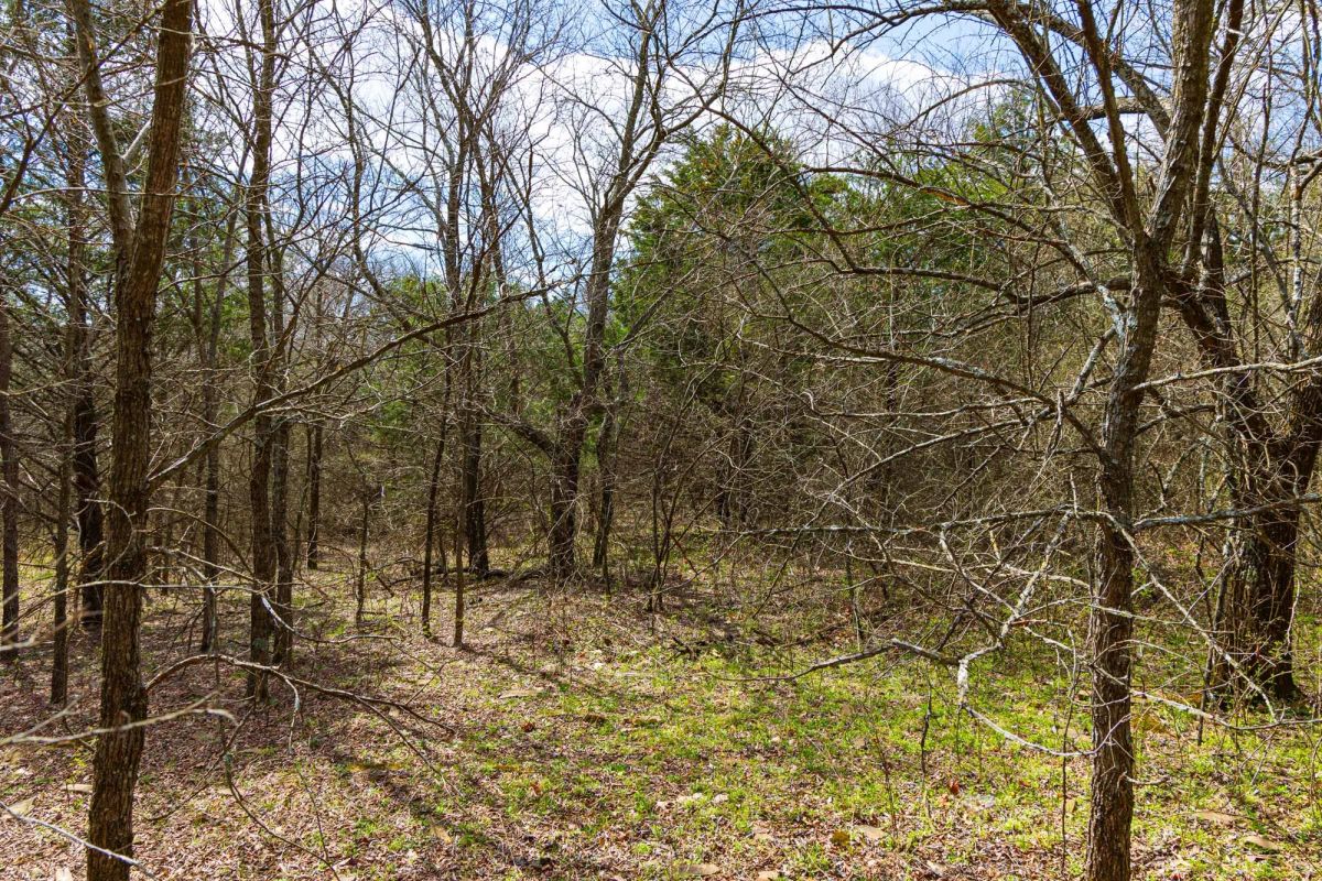 Decorative background for Reserves At Cattail Cove Phase I Tract 34 image 8