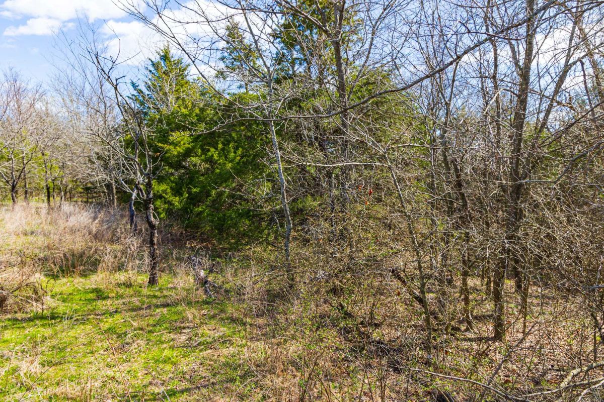 Decorative background for Reserves At Cattail Cove Phase I Tract 34 image 14
