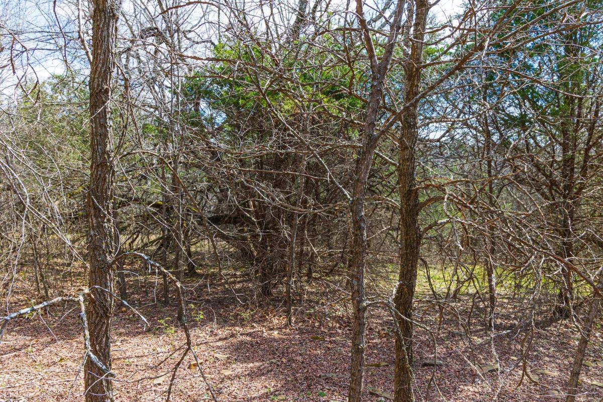 Decorative background for Reserves At Cattail Cove Phase I Tract 34 image 15