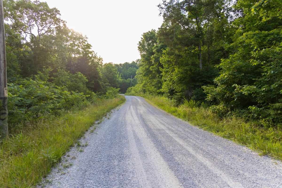 Poppy’s Point Tract 9 - Image 3