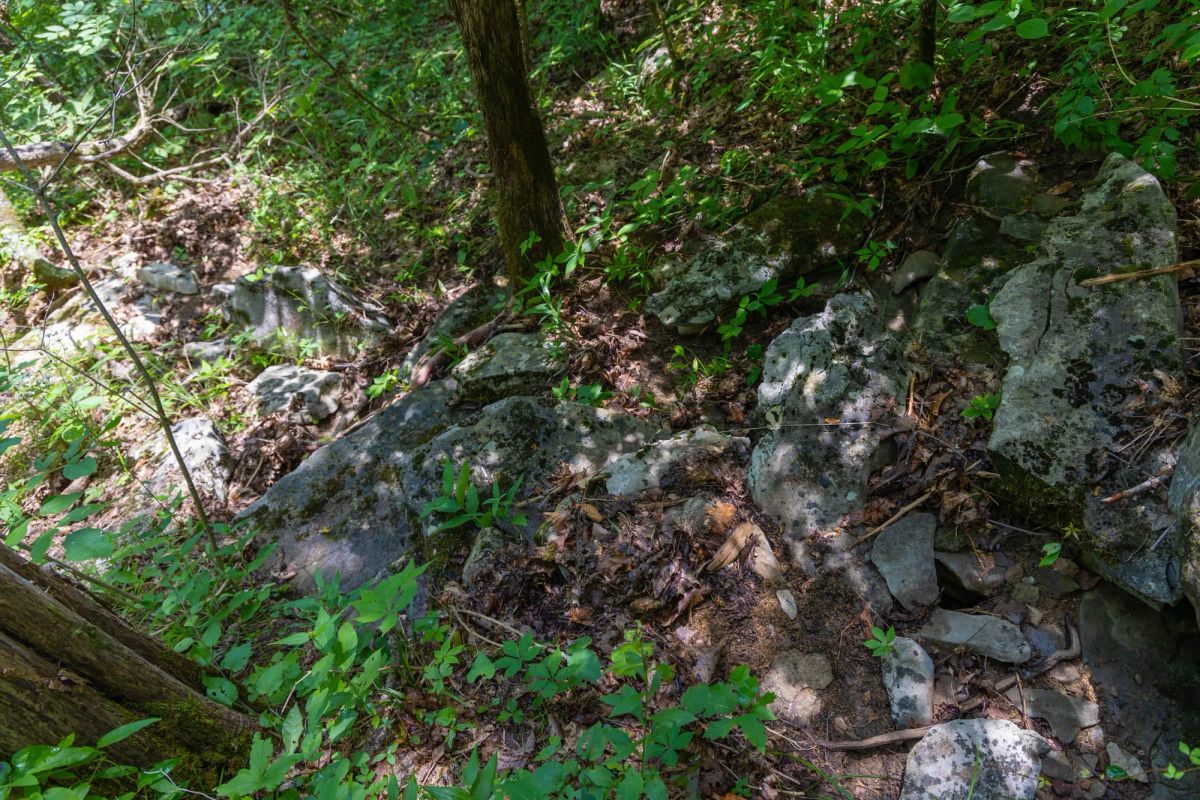 Decorative background for Poppy’s Point Tract 9 image 11