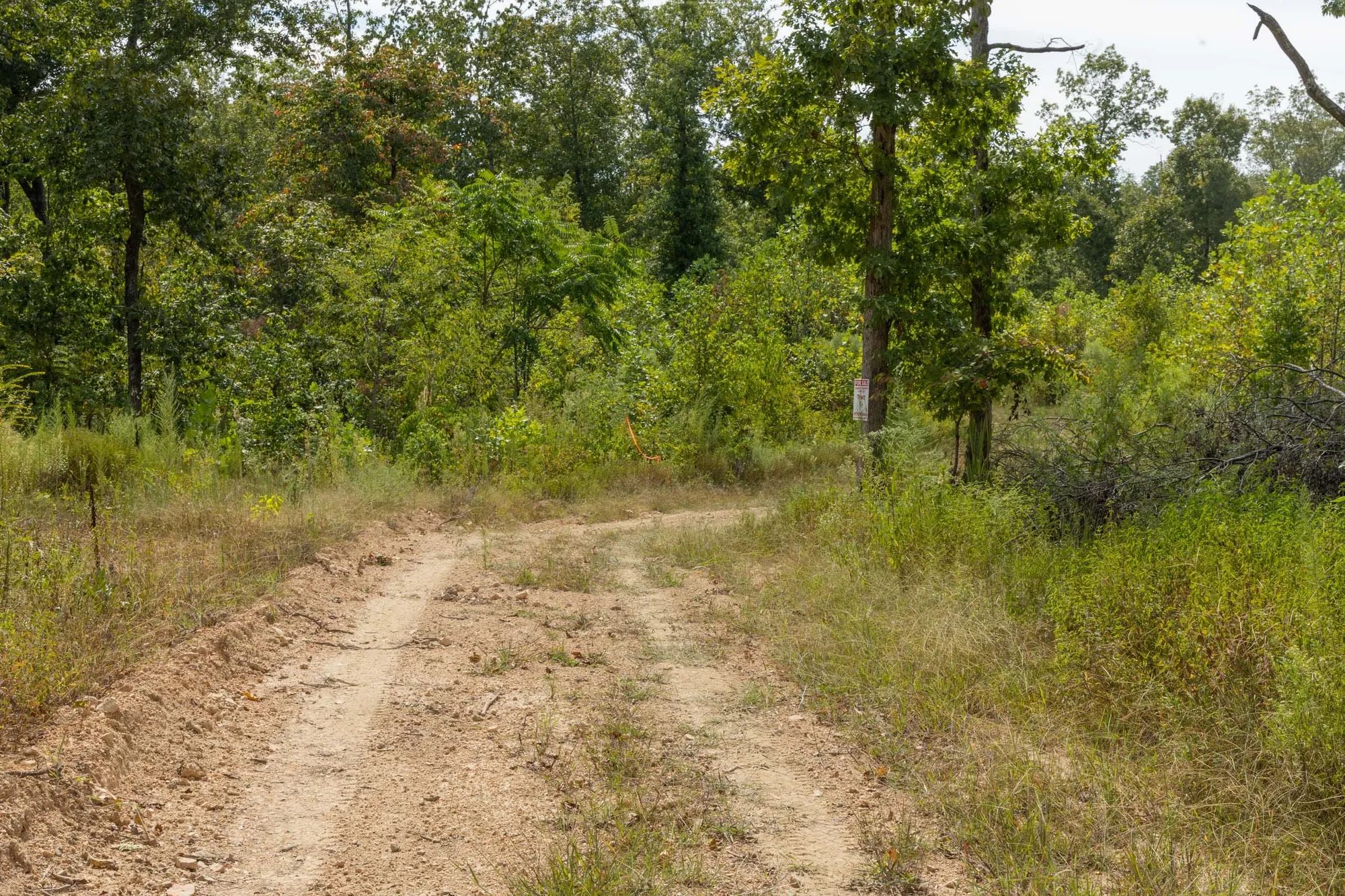 Big White Oak Tract 74 in Perry County, TN