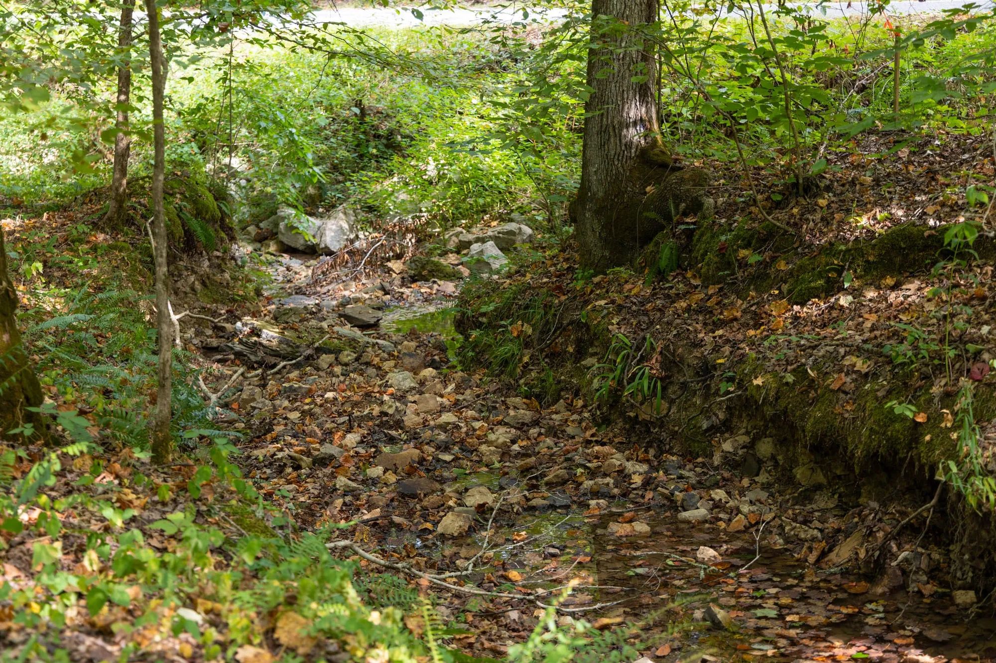 Big White Oak Tract 74 in Perry County, TN