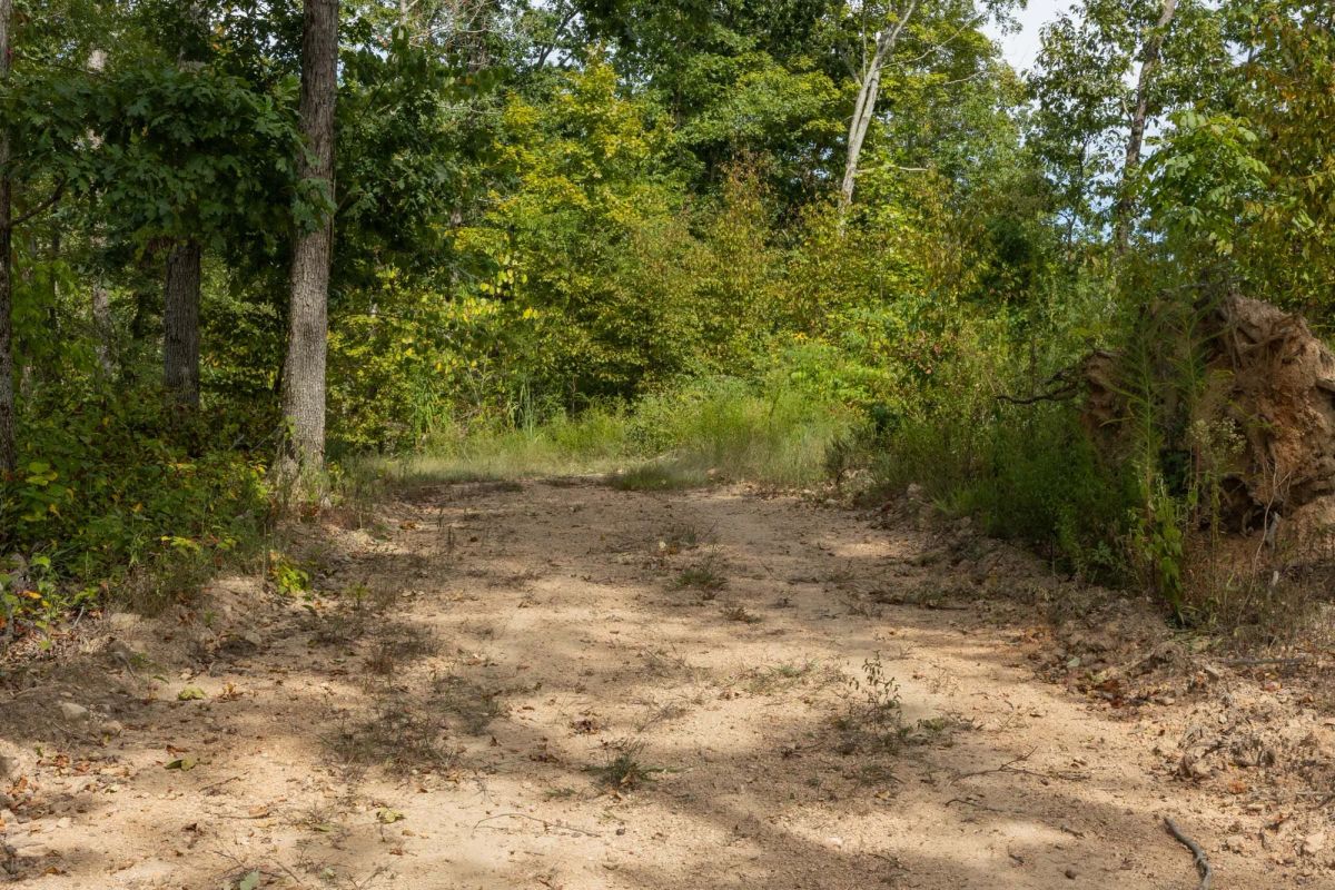 Big White Oak Tract 74 - Image 4