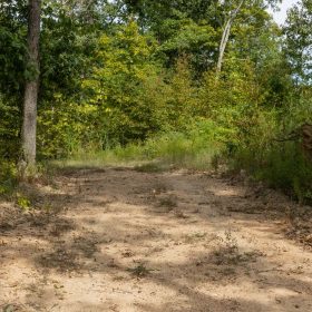Big White Oak Tract 74 in Perry County, TN