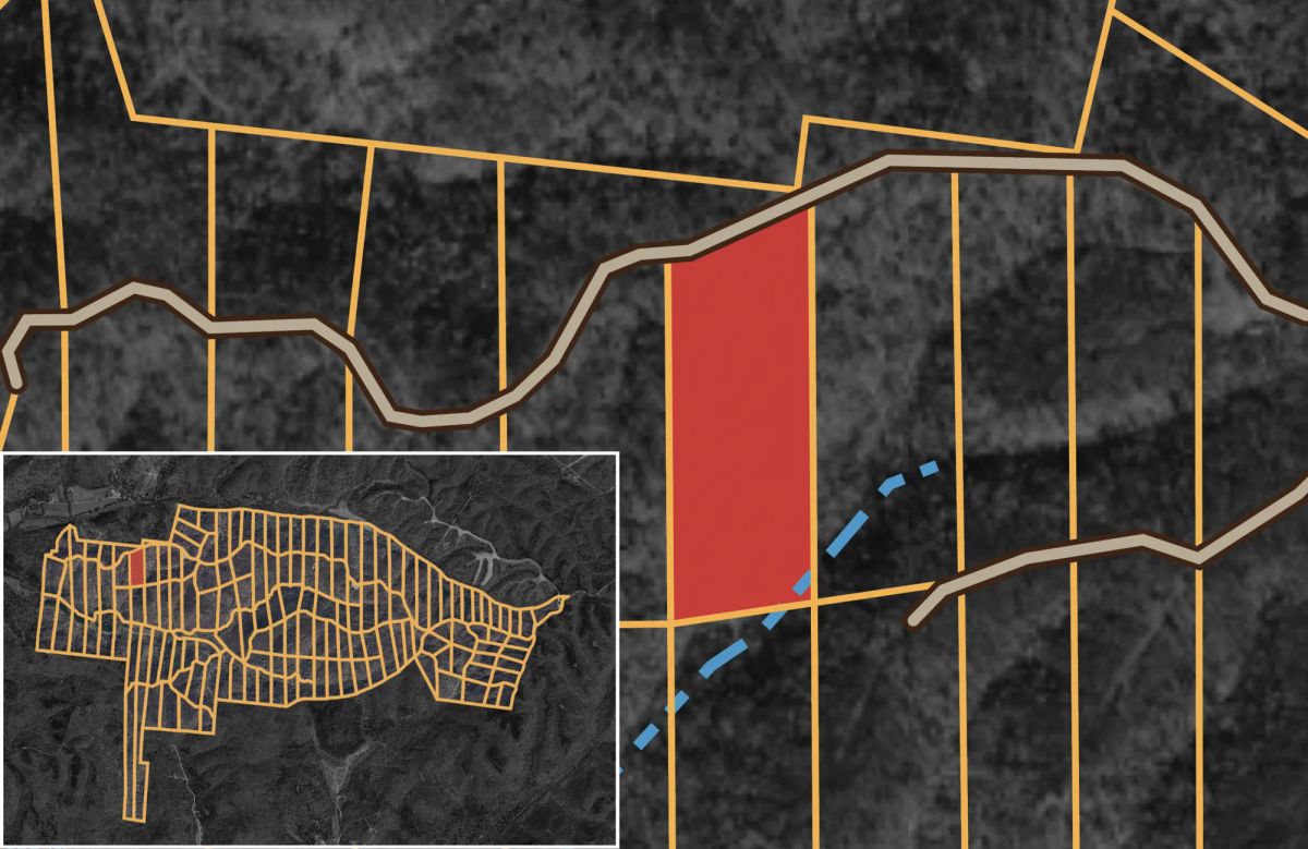 Decorative background for Big White Oak Tract 74 image 11