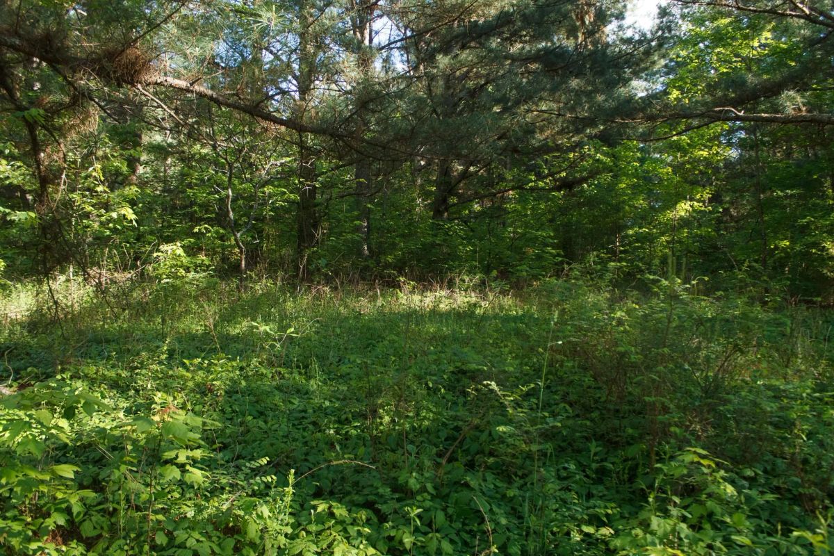 Riverbend Tract 25 - Main image