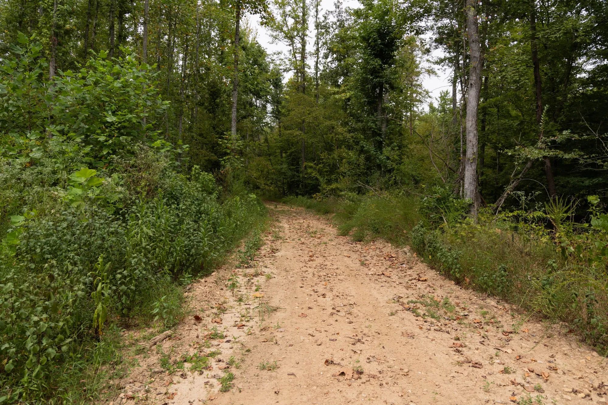 Big White Oak Tract 95 in Perry County, TN