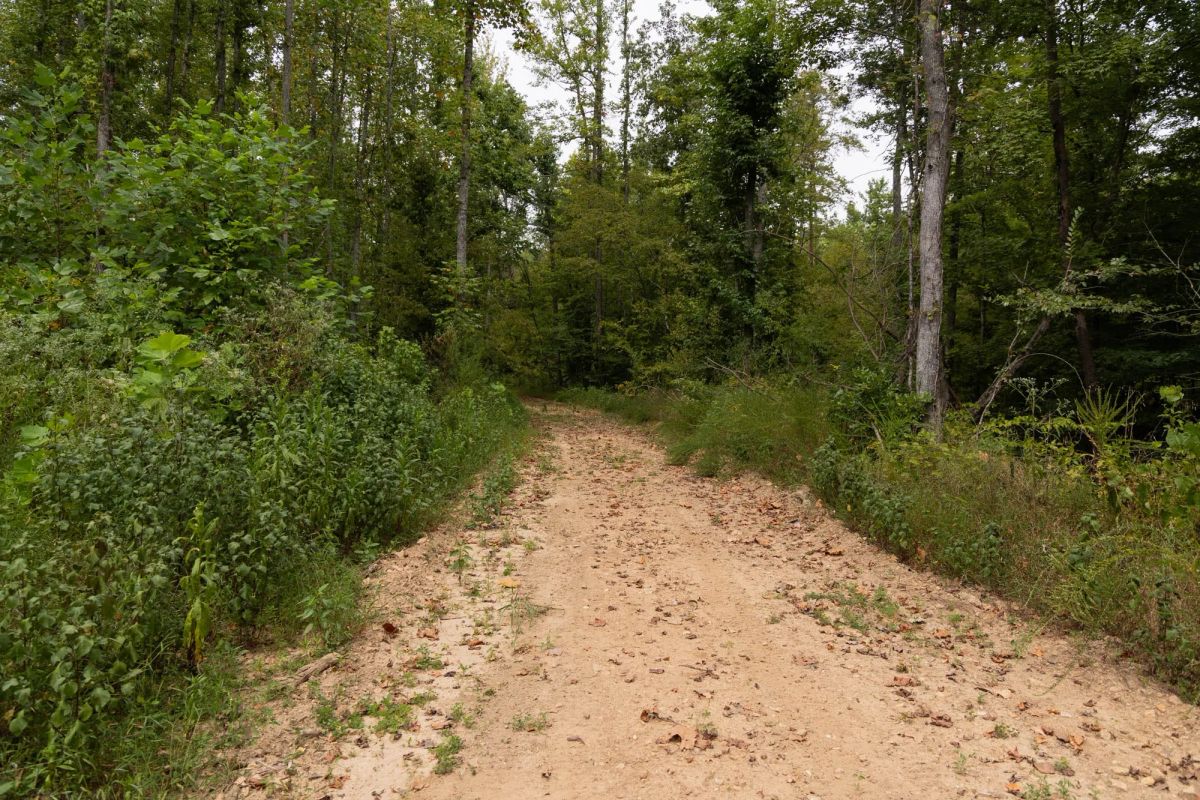 Big White Oak Tract 95 - Main image