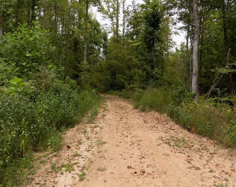 Big White Oak Tract 95 in Perry County, TN