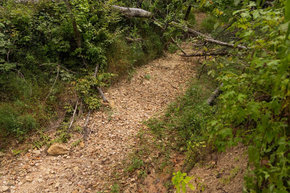 Big White Oak Tract 95 - Image 2