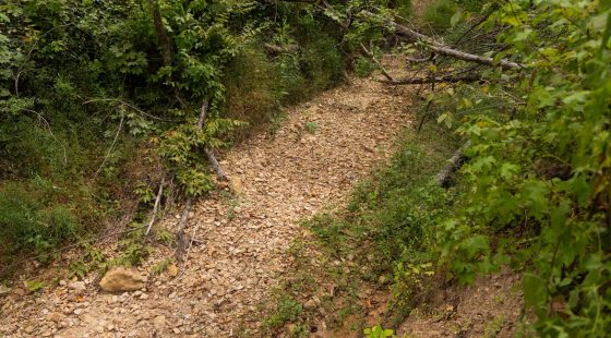 Big White Oak Tract 95 in Perry County, TN