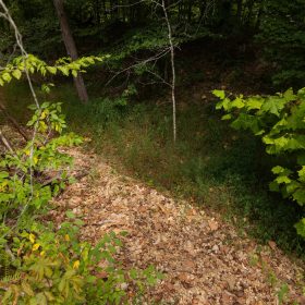 Big White Oak Tract 95 in Perry County, TN
