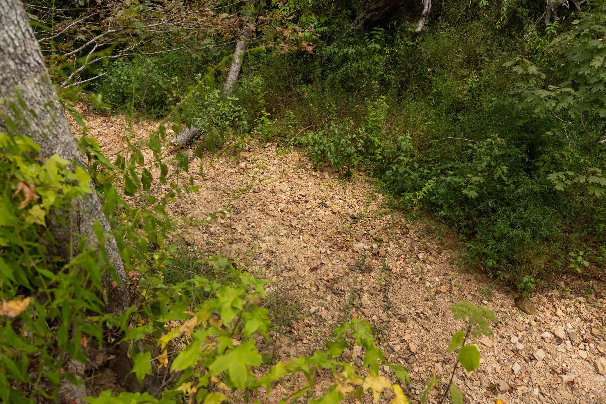 Big White Oak Tract 95 in Perry County, TN