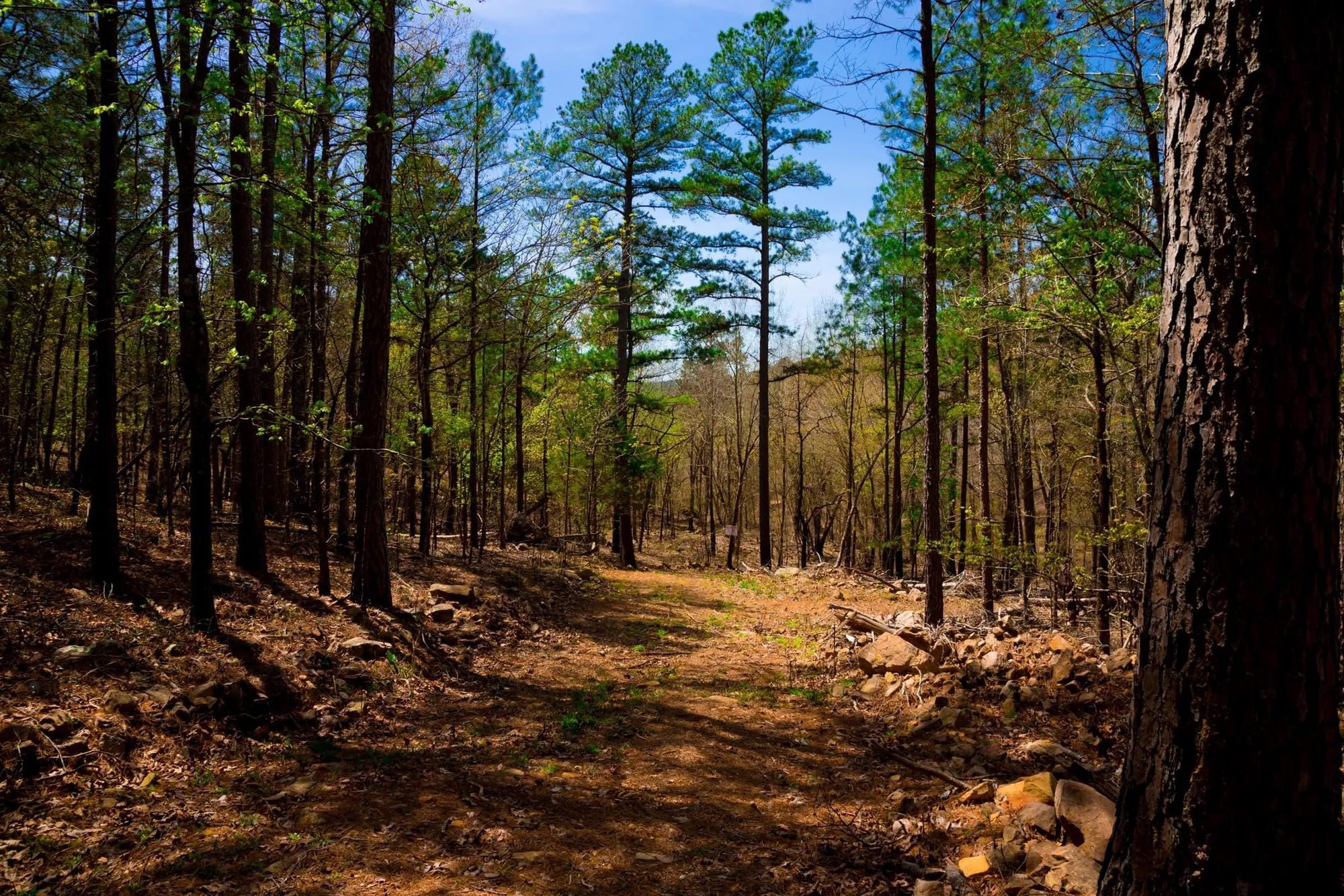 Stone Creek Phase II Tract 191