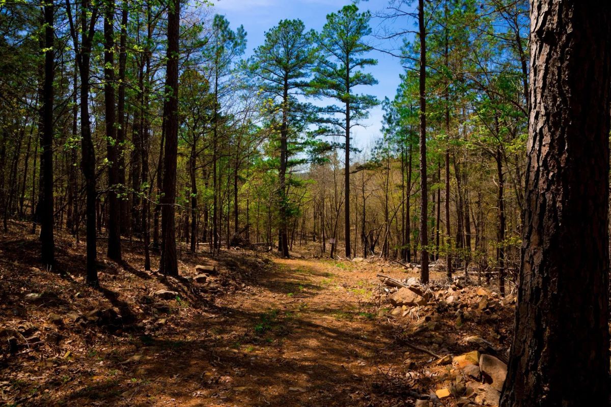 Stone Creek Phase II Tract 191 - Main image