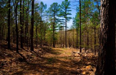 Stone Creek Phase II Tract 191